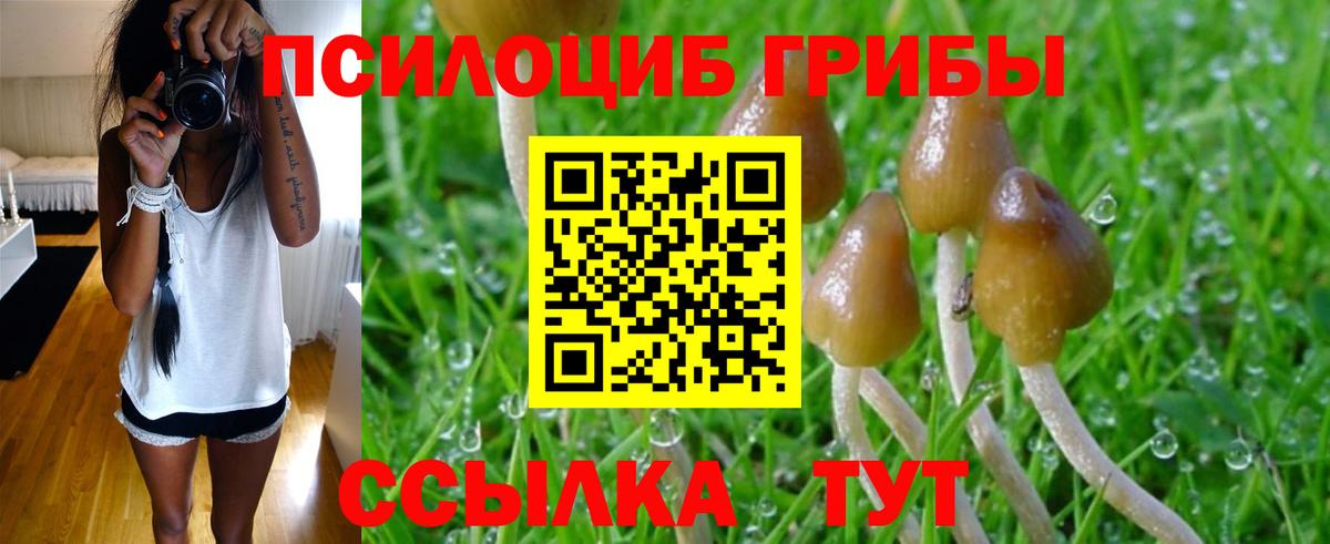 Наро-Фоминск  Галлюциногенные грибы Magic Shrooms  купить наркотик  Вход с VPN 